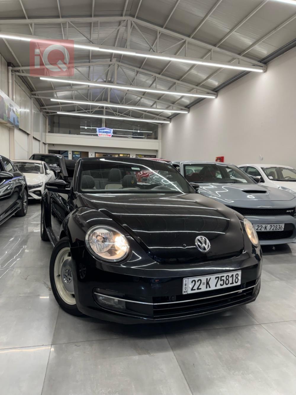 Volkswagen Beetle